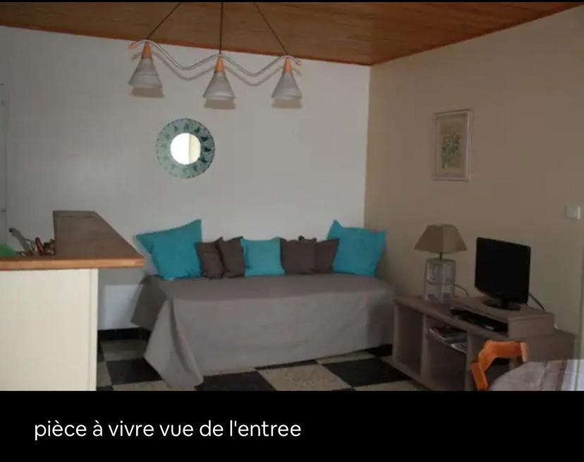 Appartement En Cevennes Rochesadoule エクステリア 写真